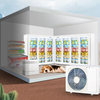 Split-type Display Cabinet Freezer