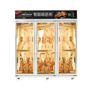 Meat-Hanging, Roast Duck Drying And Embryo-Airing Cabinet