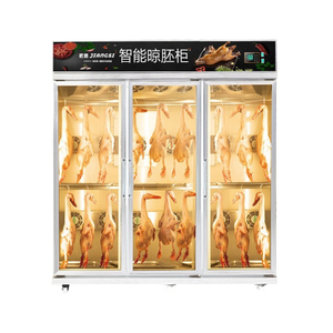 Roast Duck Air-Drying And Embryo-Curing Cabinet