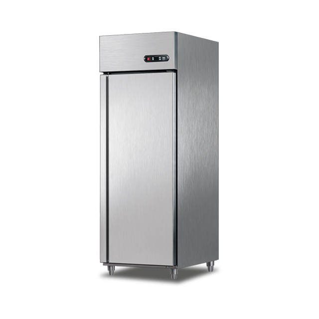 European Vertical Air-cooled Refrigerator