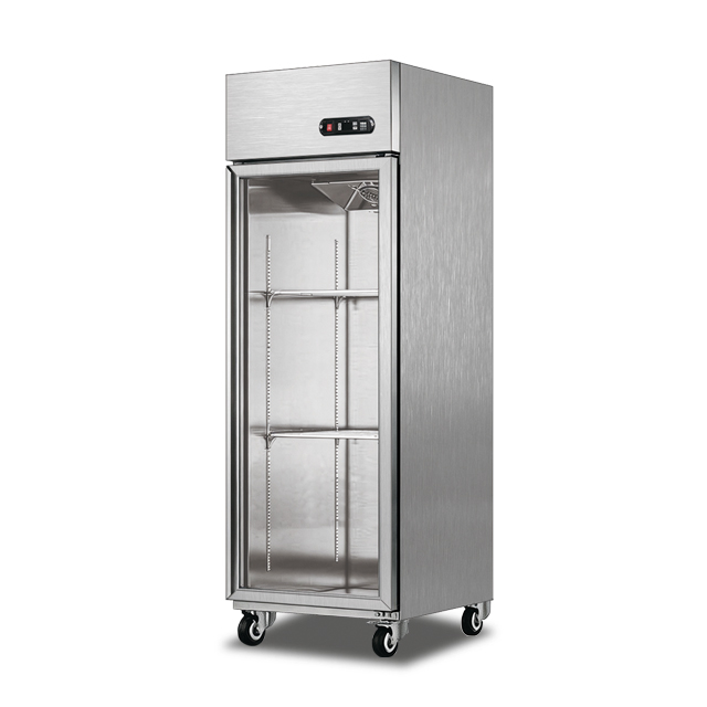 Glass Door Vertical Freezer